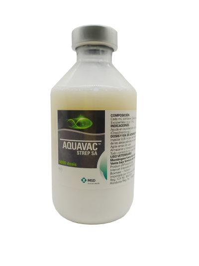 Protección contra las infecciones de Streptococcusagalactiaetipo 2 en tilapias.