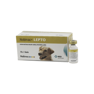 Vacuna inactivada para perros contra la leptospirosis canina.