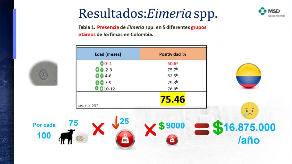 Impacto económico de la coccidiosis en la ganadería