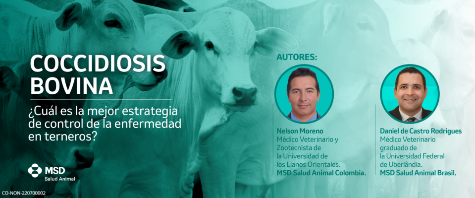 Estrategias para el control de la coccidiosis en terneros