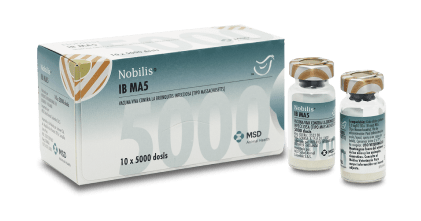 NOBILIS® IB MA5