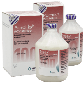 Porcilis PCV