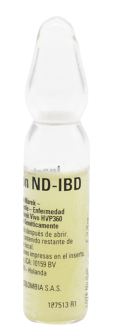 innofusion nd