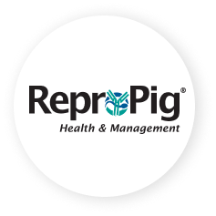 Repropig