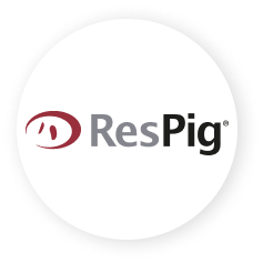 Respig