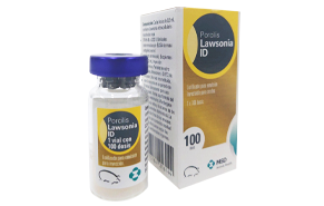 Vacuna intradérmica para cerdos contra Lawsonia intracellularis Porcilis® Lawsonia ID