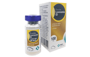 Vacuna intradérmica para cerdos contra Lawsonia intracellularis Porcilis® Lawsonia ID