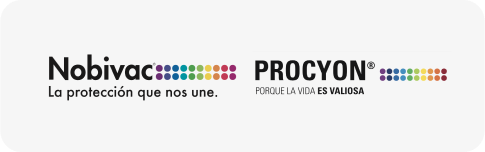 Nobivac y Procyon