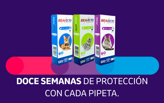 Salud y Seguridad