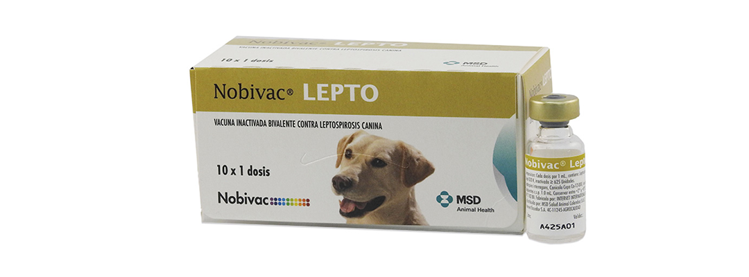 Nobivac® LEPTO