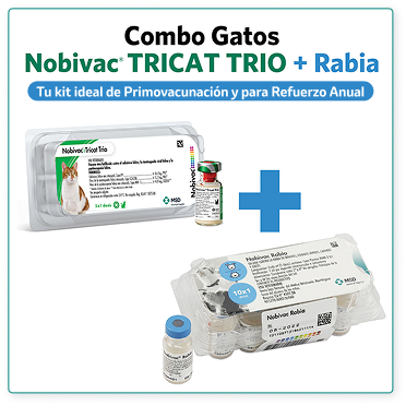 Combo Gatos Combo Gatos