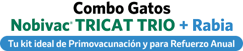 Combo Gatos