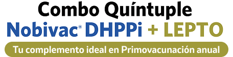 Combo Quíntuple
